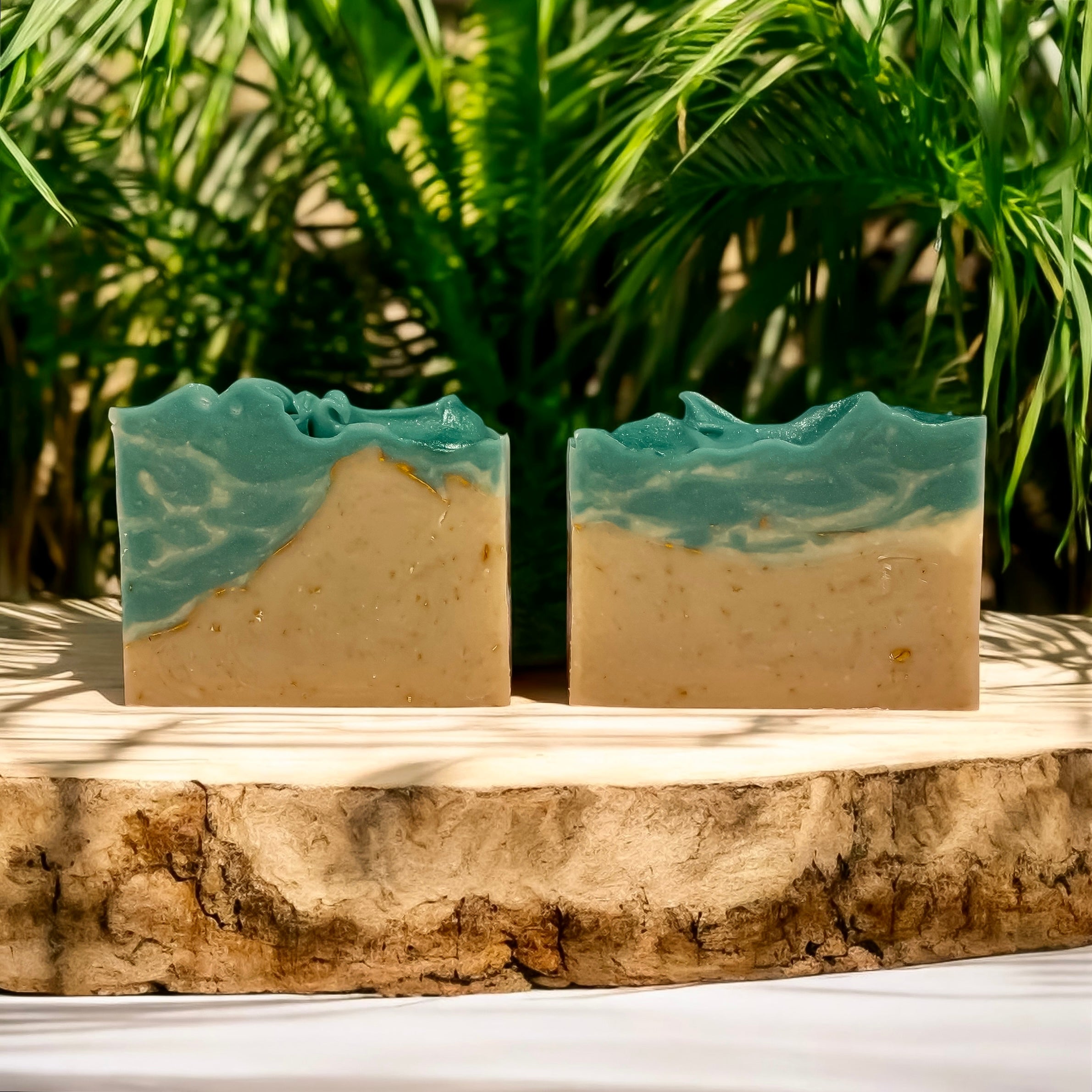 Shoreline